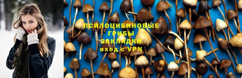 Галлюциногенные грибы GOLDEN TEACHER  Омск 